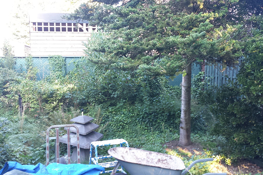 Hoogteverschil Tuin
