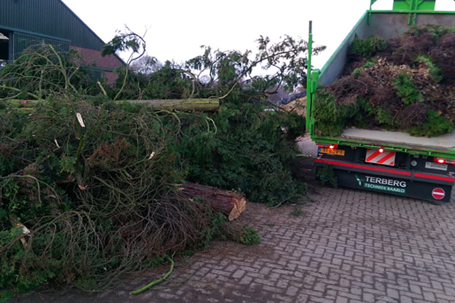 Snoeien op hoogte